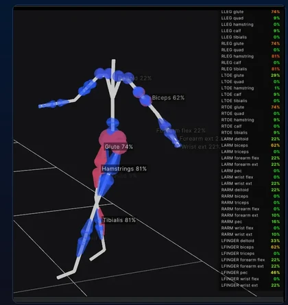 GAIT inferred muscle activity