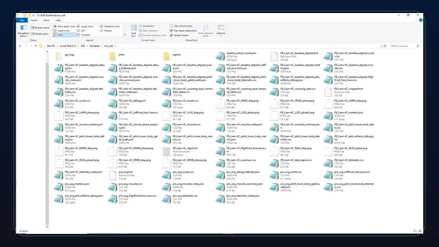 Kineologist generated output folder with artifacts