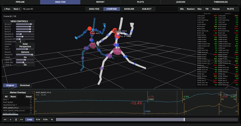 PITCH software detector and review interface