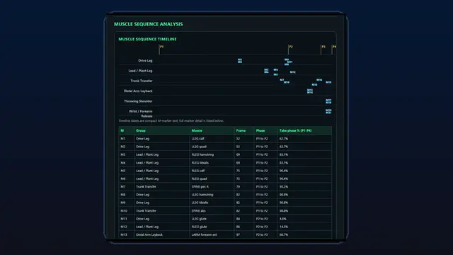PITCH Muscle Report preview