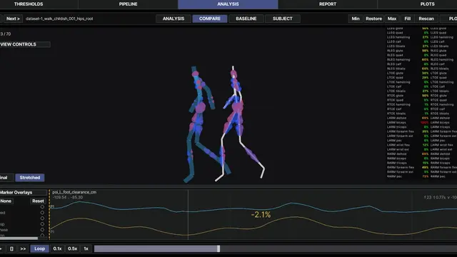 Walking analysis workflow poster