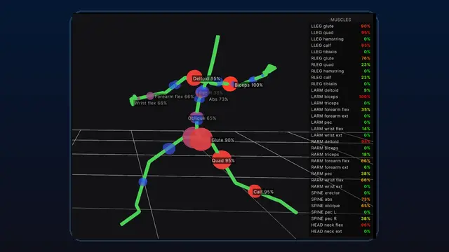 Kineologist muscle proxy visualizer