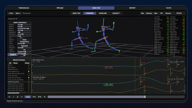 Kineologist phase and baseline comparison